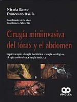 * CIRUGÍA MININVASIVA DEL TÓRAX Y EL ABDOMEN - LAPAROSCOPIA, CIRUGÍA BARIÁTRICA, CIRUGÍA UROLÓGICA, CIRUGÍA ENDOCRINA, CIRUGÍA TORÁCICA *